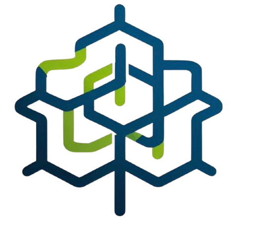 Digital Business Summit Logo